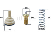 WG1426543 Termostat, chladivo WILMINK GROUP