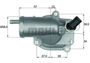 WG1262789 WILMINK GROUP termostat chladenia WG1262789 WILMINK GROUP