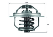 WG1217868 Termostat, chladivo WILMINK GROUP