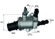 WG1217590 Termostat, chladivo WILMINK GROUP