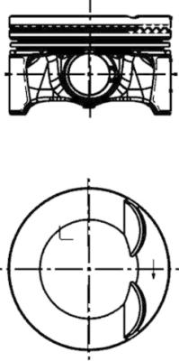 WG1016439 Píst WILMINK GROUP