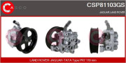 CSP81103GS Hydraulické čerpadlo, řízení Genuine CASCO