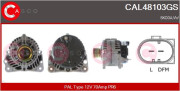 CAL48103GS generátor CASCO