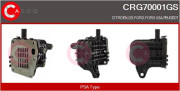 CRG70001GS Chladič, recirkulace spalin Genuine CASCO