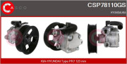 CSP78110GS Hydraulické čerpadlo, řízení CASCO
