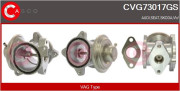 CVG73017GS AGR-Ventil CASCO