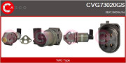 CVG73020GS AGR-Ventil CASCO