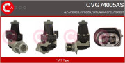 CVG74005AS AGR-Ventil CASCO