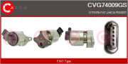 CVG74009GS AGR-Ventil CASCO