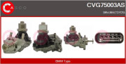 CVG75003AS AGR-Ventil CASCO