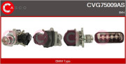 CVG75009AS AGR-Ventil CASCO