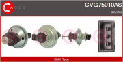 CVG75010AS AGR-Ventil CASCO