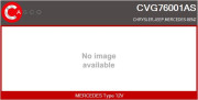 CVG76001AS AGR-Ventil CASCO