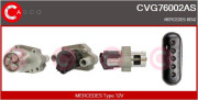 CVG76002AS AGR-Ventil CASCO