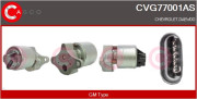 CVG77001AS AGR-Ventil CASCO