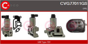 CVG77011GS AGR-Ventil CASCO