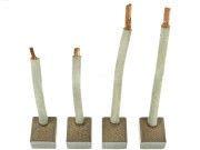 SB3007S Uhlíkový kartáč, startér Brand new | AS-PL | Starters | 443115141331 AS-PL