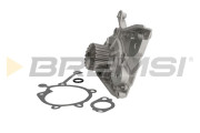 WP0313 Vodní čerpadlo, chlazení motoru BREMSI