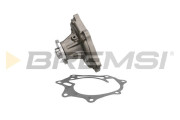 WP0387 Vodní čerpadlo, chlazení motoru BREMSI