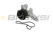 WP0396 Vodní čerpadlo, chlazení motoru BREMSI