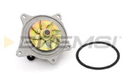 WP0557 Vodní čerpadlo, chlazení motoru BREMSI