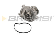 WP0619 Vodní čerpadlo, chlazení motoru BREMSI