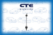 CSL31007 0 CTE