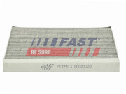 FT37313 0 FAST