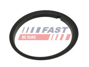 FT48502 FAST tesnenie, snímač hladiny paliva FT48502 FAST