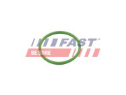 FT48803 FAST tesnenie prívodu turbíny FT48803 FAST