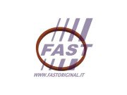 FT48932 Těsnicí kroužek, hadice plnicího vzduchu FAST