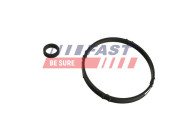 FT48952 FAST tesnenie chladiča oleja FT48952 FAST