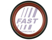 FT49767 Těsnicí kroužek hřídele, diferenciál FAST
