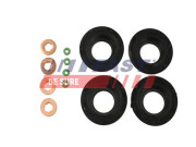 FT49850 FAST sada tesnení pre vstrekovaciu trysku FT49850 FAST