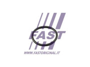 FT49917 FAST tesnenie termostatu FT49917 FAST