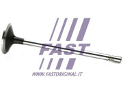 FT50133 Sací ventil FAST