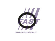 FT50601 FAST tesnenie, agr-ventil FT50601 FAST