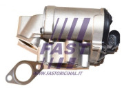 FT60206 AGR-Ventil FAST