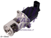 FT60207 AGR-Ventil FAST