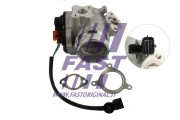 FT60209 AGR-Ventil FAST