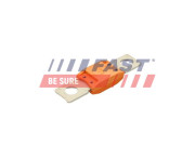 FT83403 FAST poistka FT83403 FAST