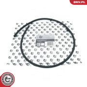 54SKV319 Hadice, unikání paliva ESEN SKV