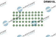 DRM010L Tesnici krouzek, vstrikovani Dr.Motor Automotive