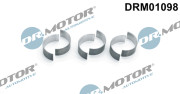 DRM01098 Hlavní ložiska klikového hřídele Dr.Motor Automotive