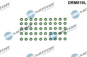DRM010L Těsnicí kroužek, držák trysky Dr.Motor Automotive