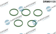 DRM01135 Těsnicí kroužek, hadice plnicího vzduchu Dr.Motor Automotive