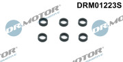 DRM01223S Těsnicí kroužek, držák trysky Dr.Motor Automotive