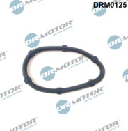 DRM0125 Těsnění, kolektor výfukových plynů Dr.Motor Automotive