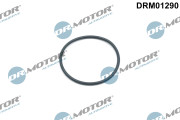 DRM01290 Dr.Motor Automotive tesniaci krúżok, napínač rozvodovej reżaze DRM01290 Dr.Motor Automotive
