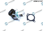 DRM121107 AGR-Ventil Dr.Motor Automotive